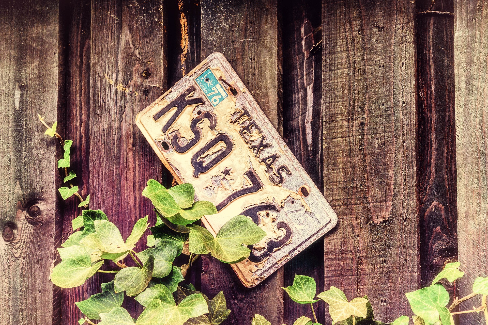 Outdoor rustic fence with a vine and a crooked antique Texas license plate